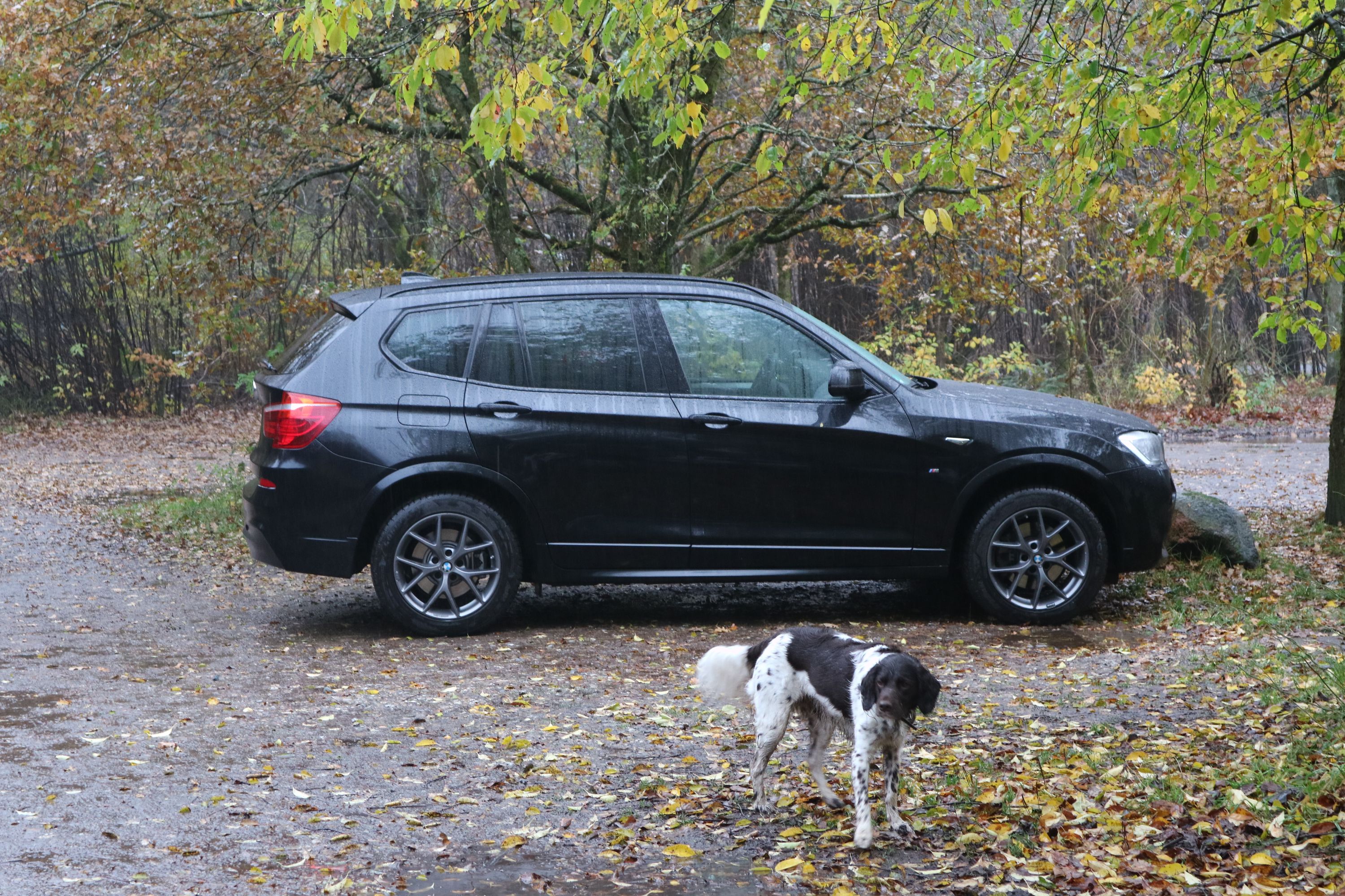 Leo X3_Schietwetter